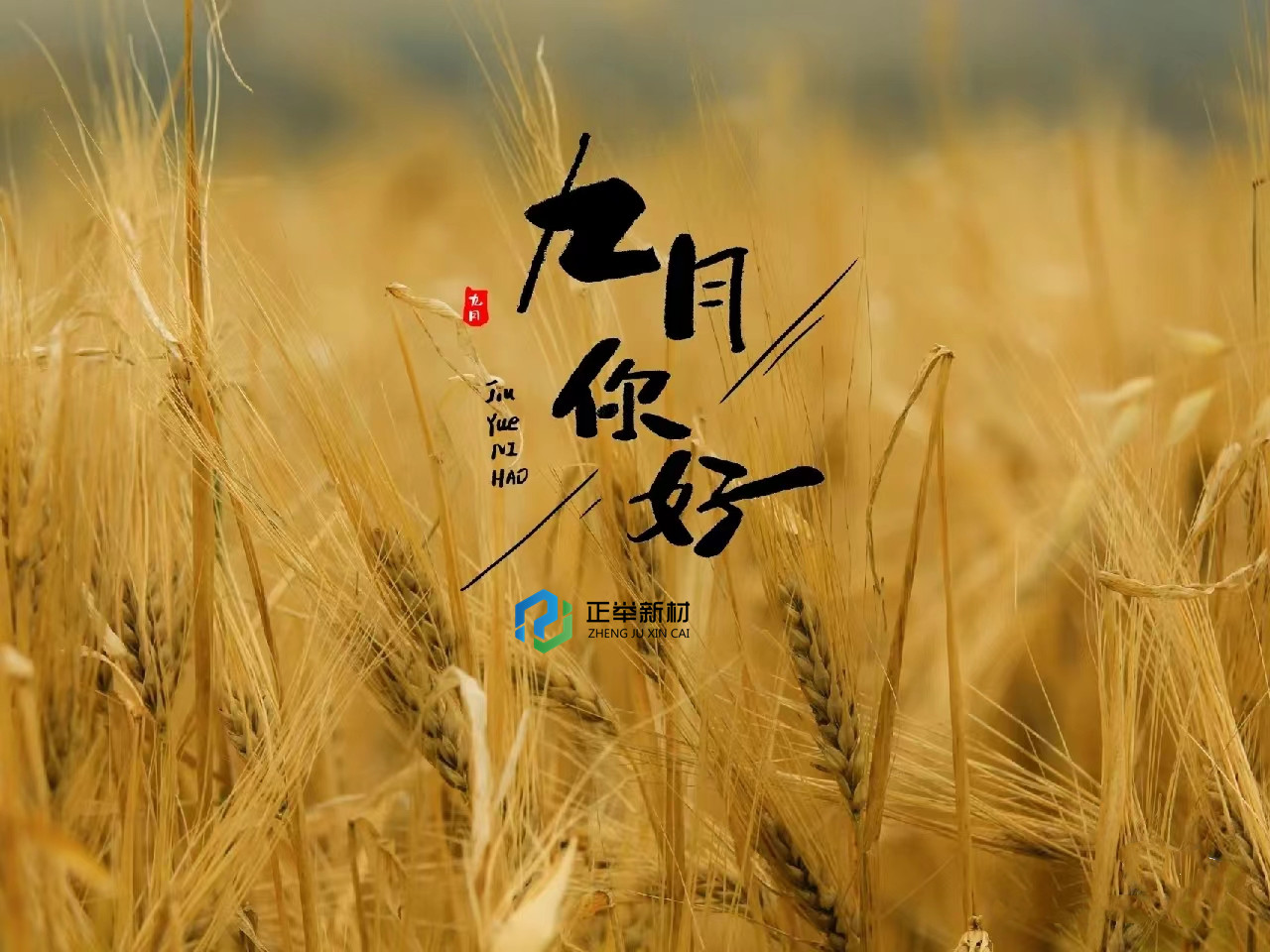 九月您好